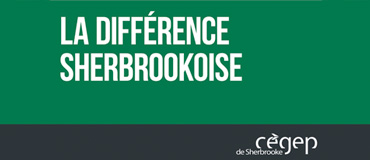 Programmes D Etudes Cegep De Sherbrooke