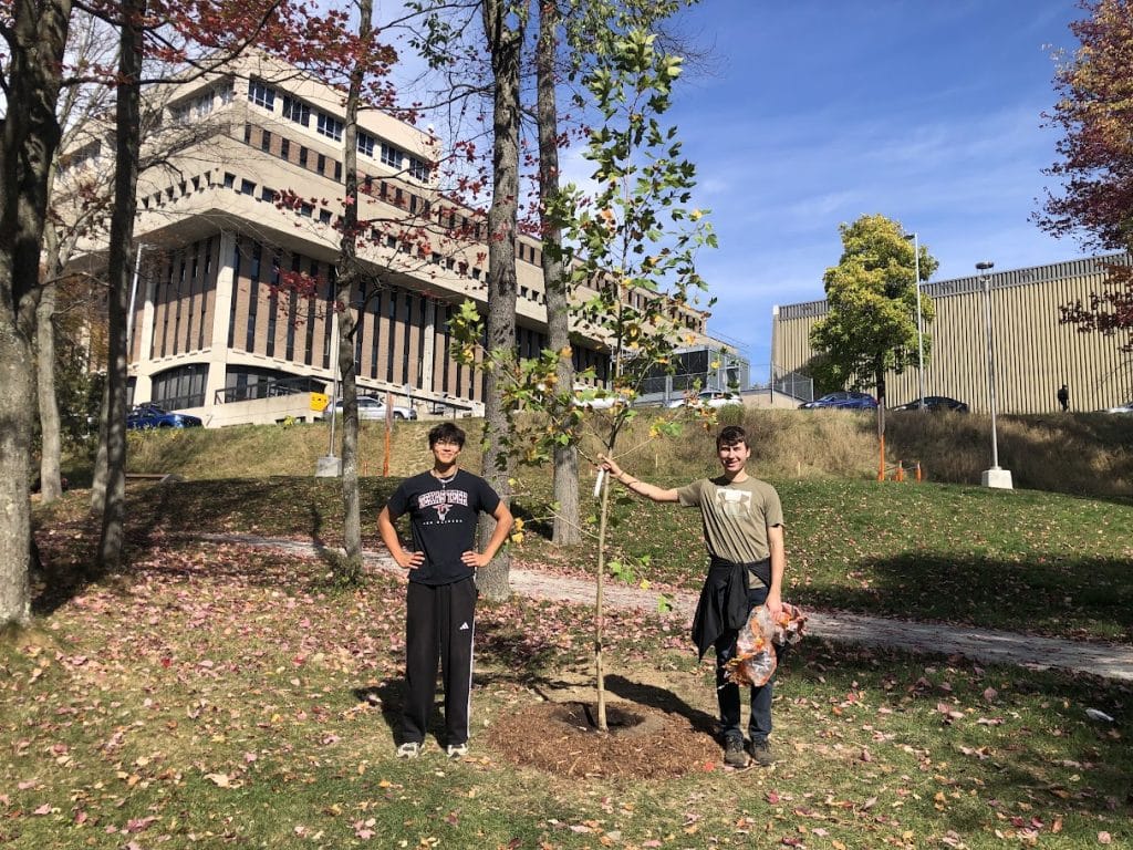 Plantation darbres sur le campus 2025