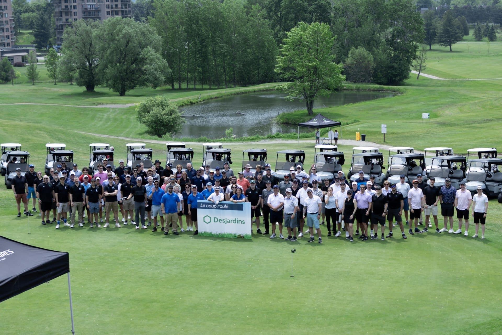 bird view golf