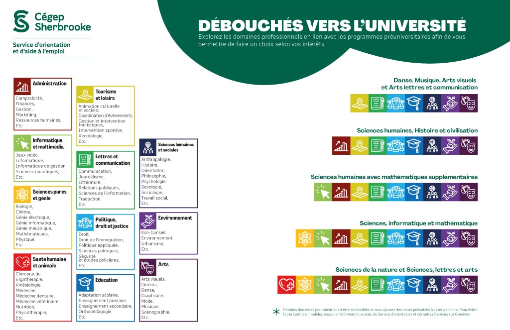 TableauDebouches Web