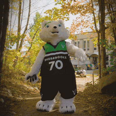 CdeS VOLS DevoilementMascotte GIF 2025
