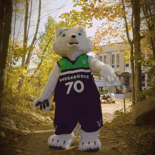 CdeS VOLS DevoilementMascotte