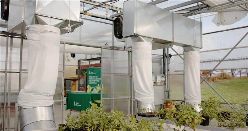 Illustration d'en-tête de page