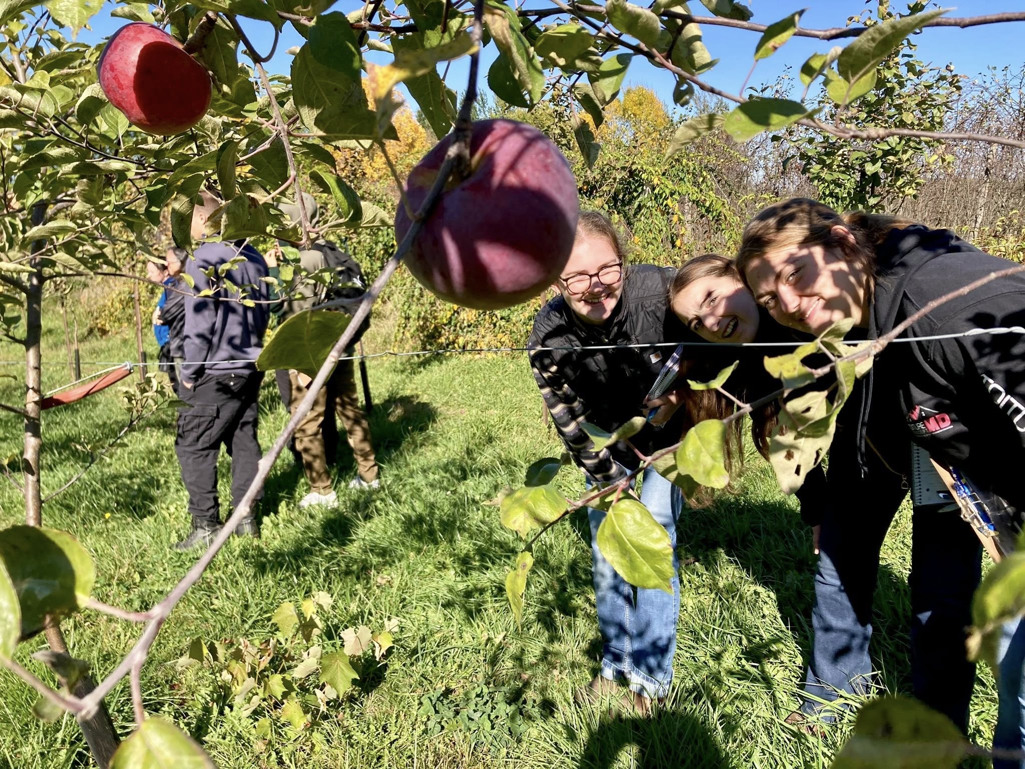 Illustration d'en-tête de page